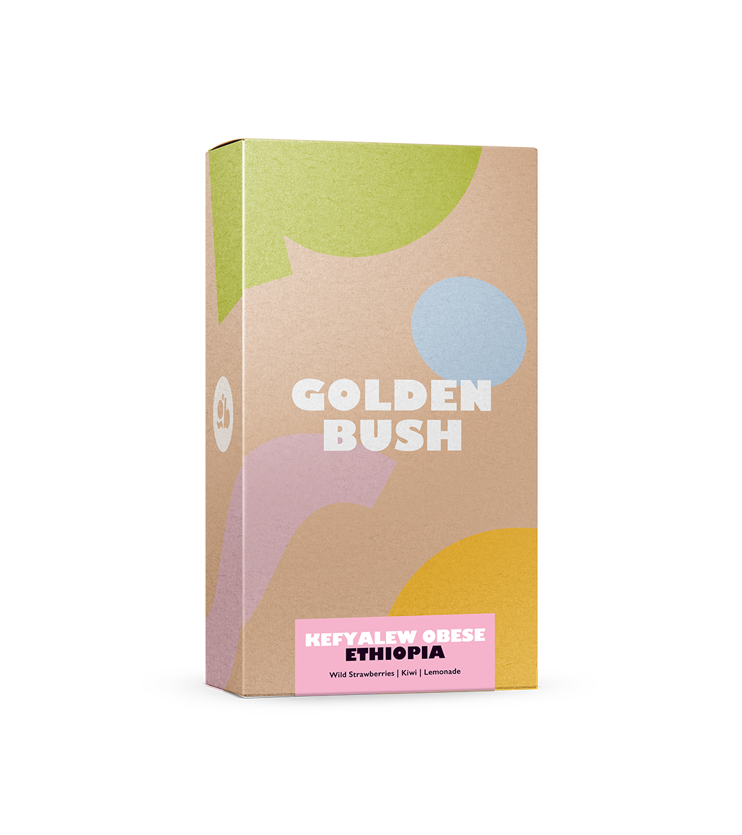 GoldenBush_Packaging_Mockup2025_KefyalewObese_STM.png